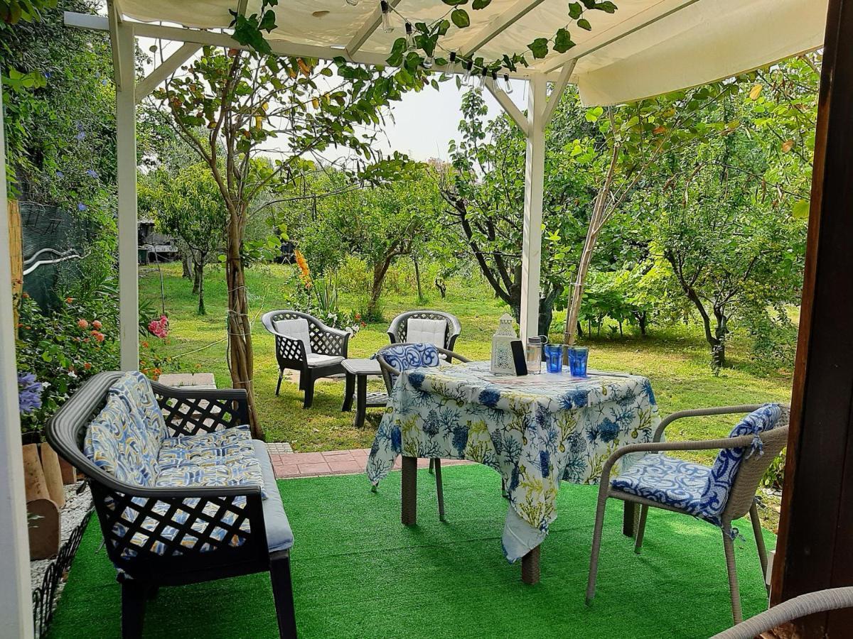 Bed and Breakfast Tom E Jerry Domus De Maria Exterior foto