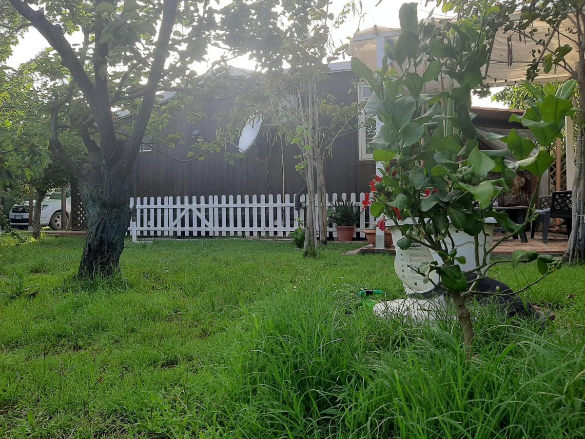 Bed and Breakfast Tom E Jerry Domus De Maria Exterior foto